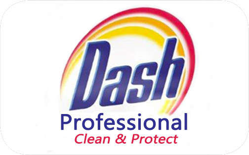 DashProfessionalLogo